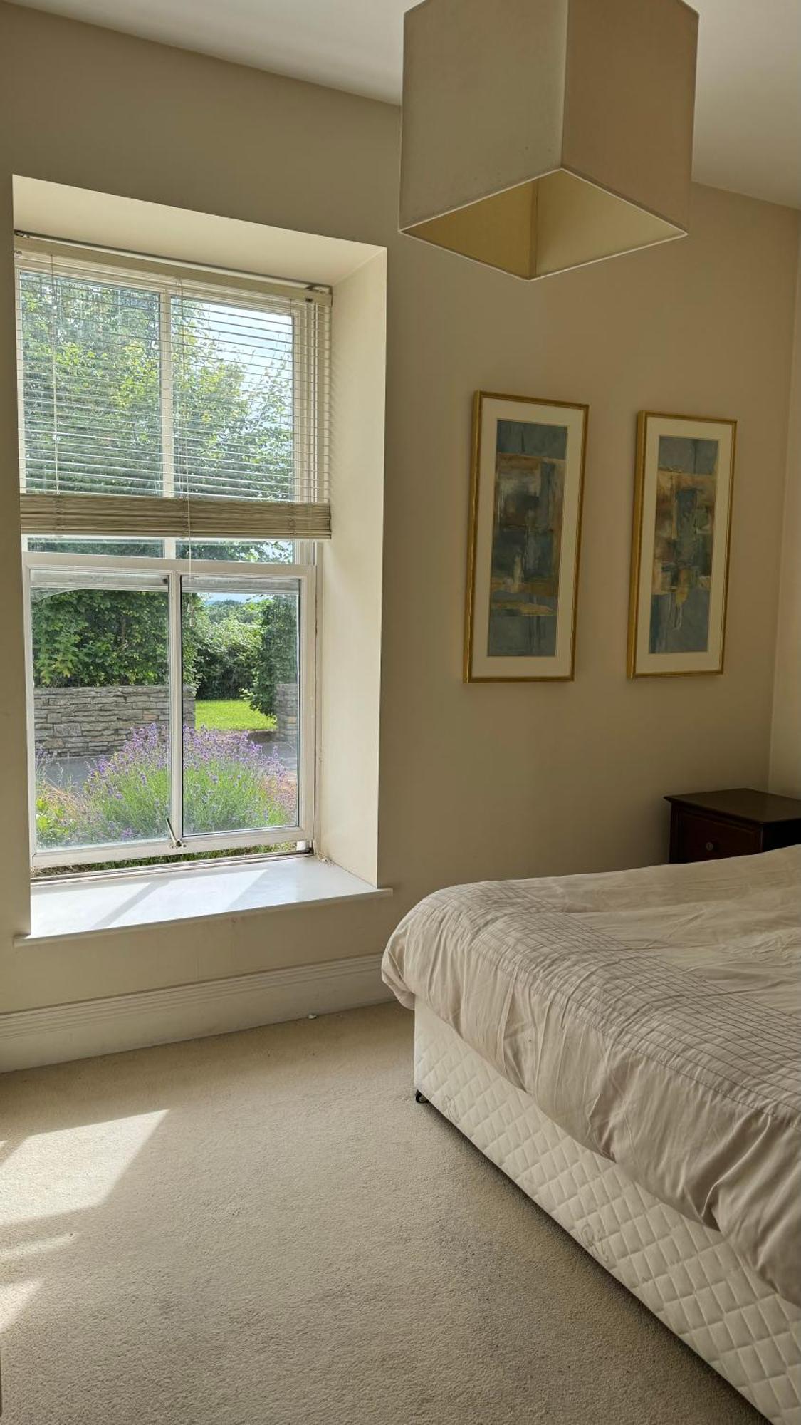 Room With Private Bathroom Near The Center Cork Extérieur photo
